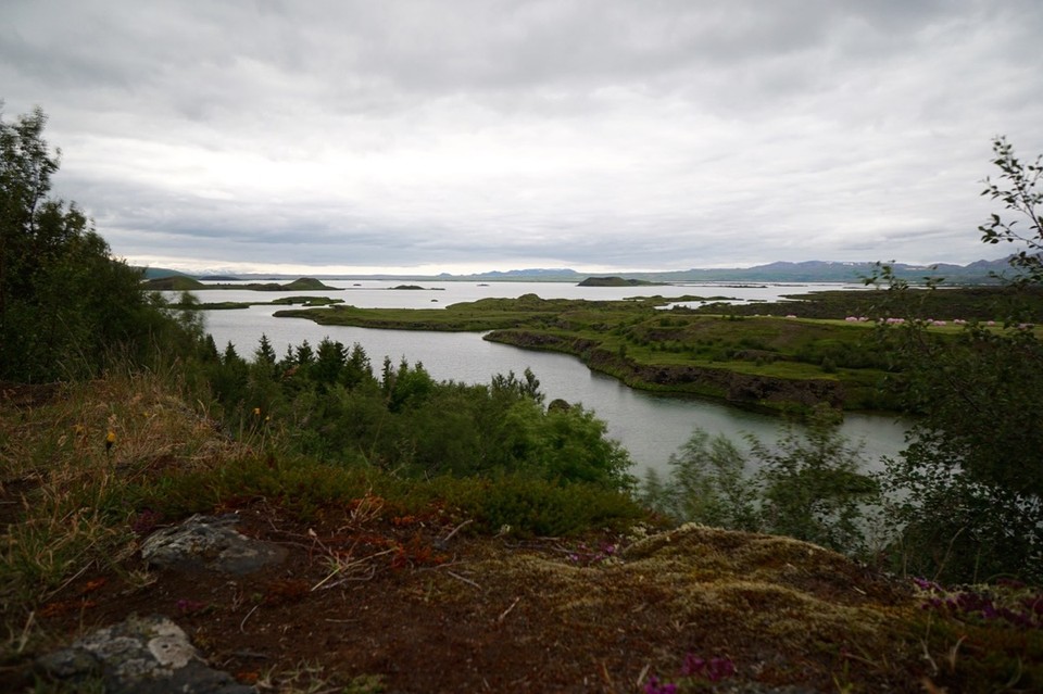 Island - Mývatn - 