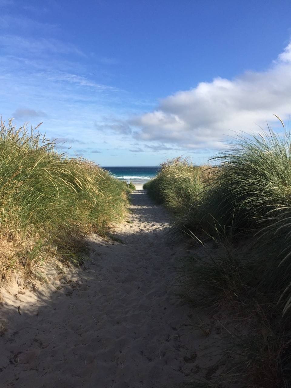 Neuseeland - Dunedin - 