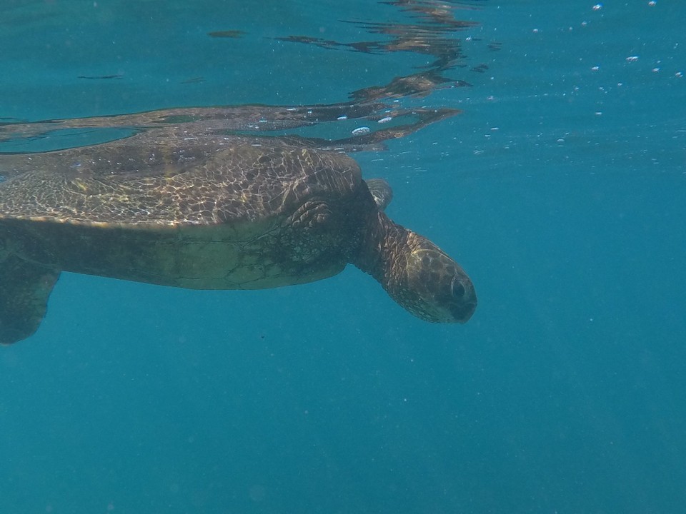 Vereinigte Staaten - Honolulu - 