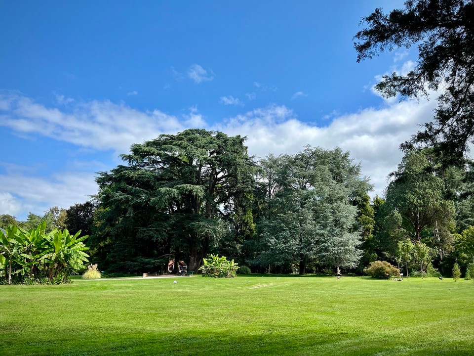 Frankreich - Tarbes - 