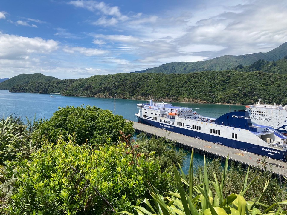 Neuseeland - Picton - Fähren in Picton