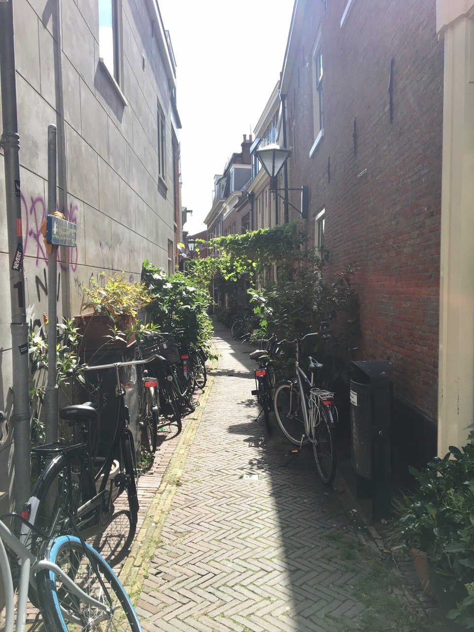 Niederlande - Haarlem - 