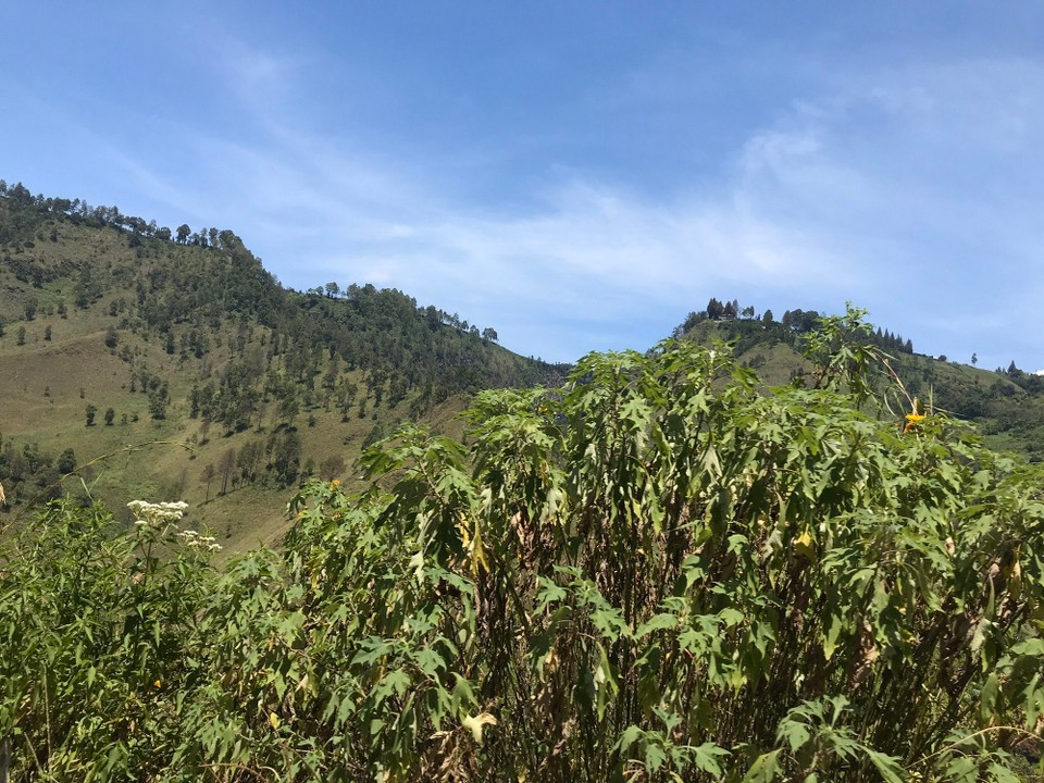 Indonesia - Karo - 