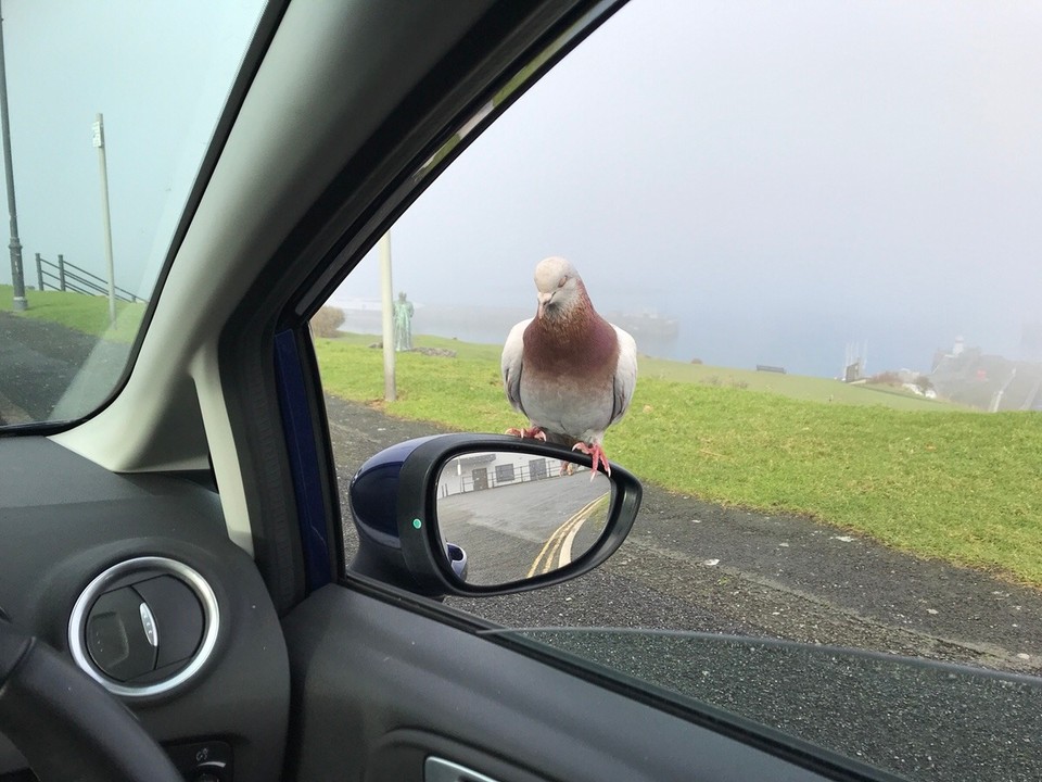 Ireland - Galway - 
