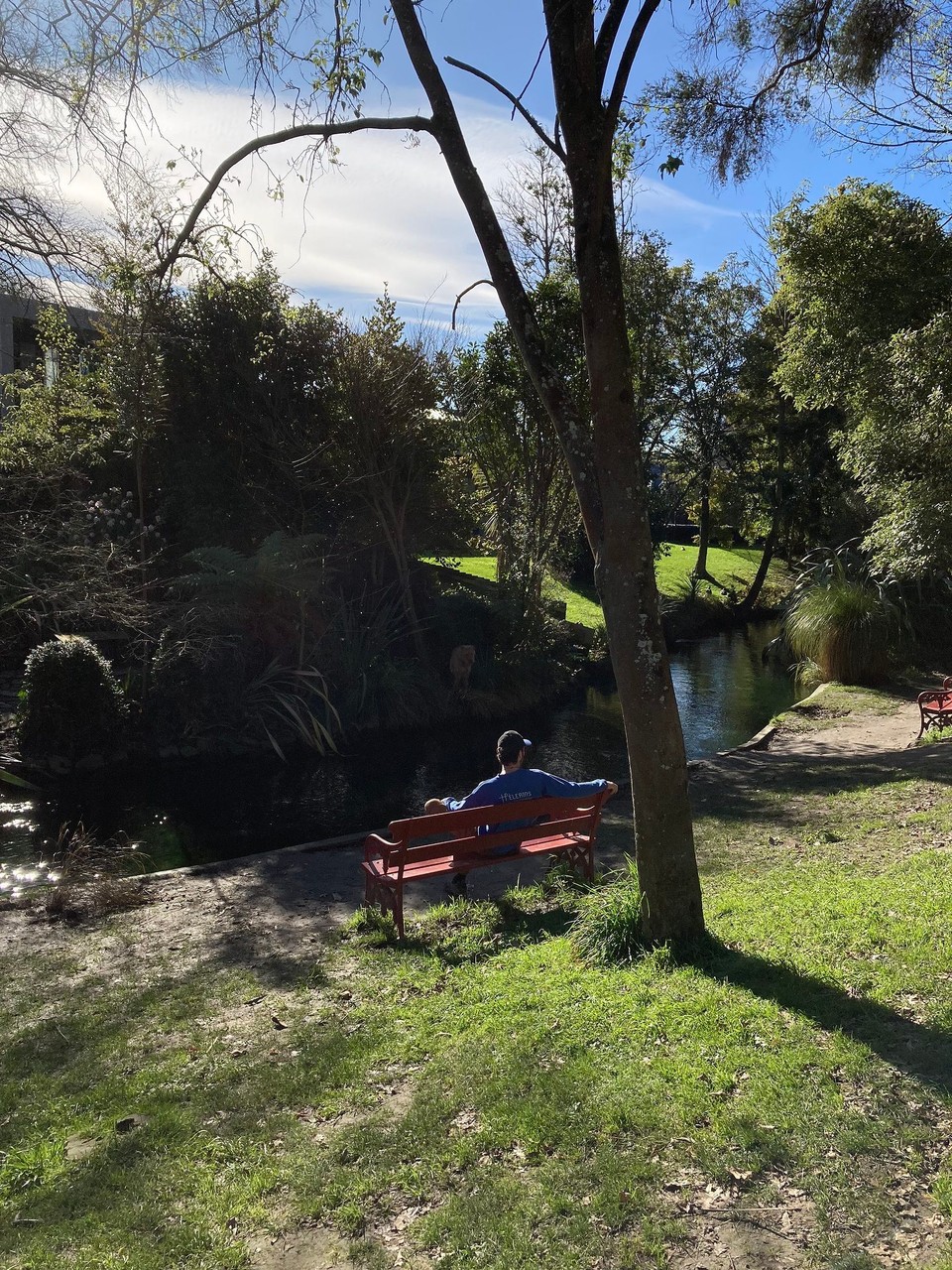 Neuseeland - Christchurch - Sonne genießen 