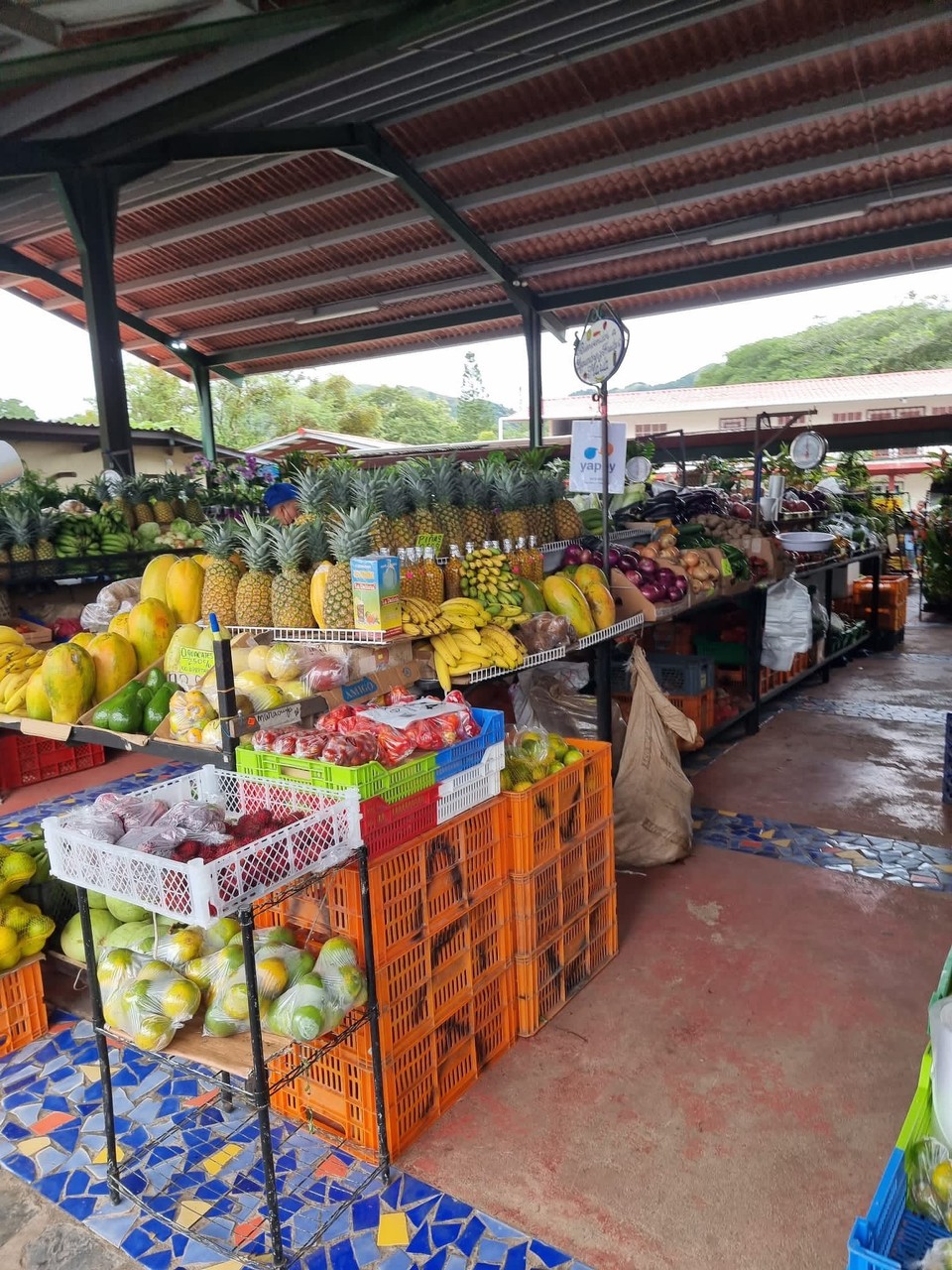 Panama - El Valle de Antón - Marktbesuch 🍍 