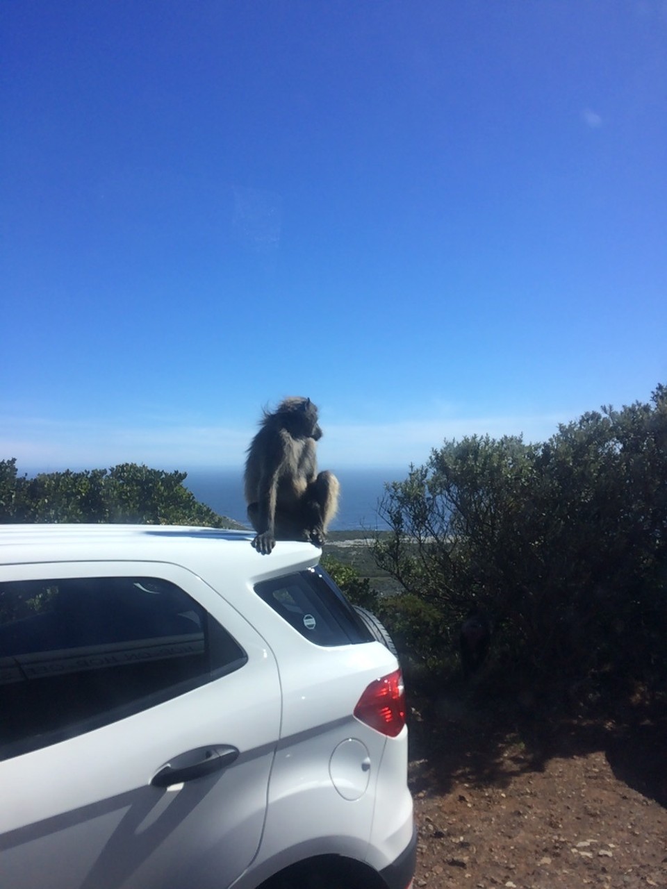 Südafrika - Cape Point - 
