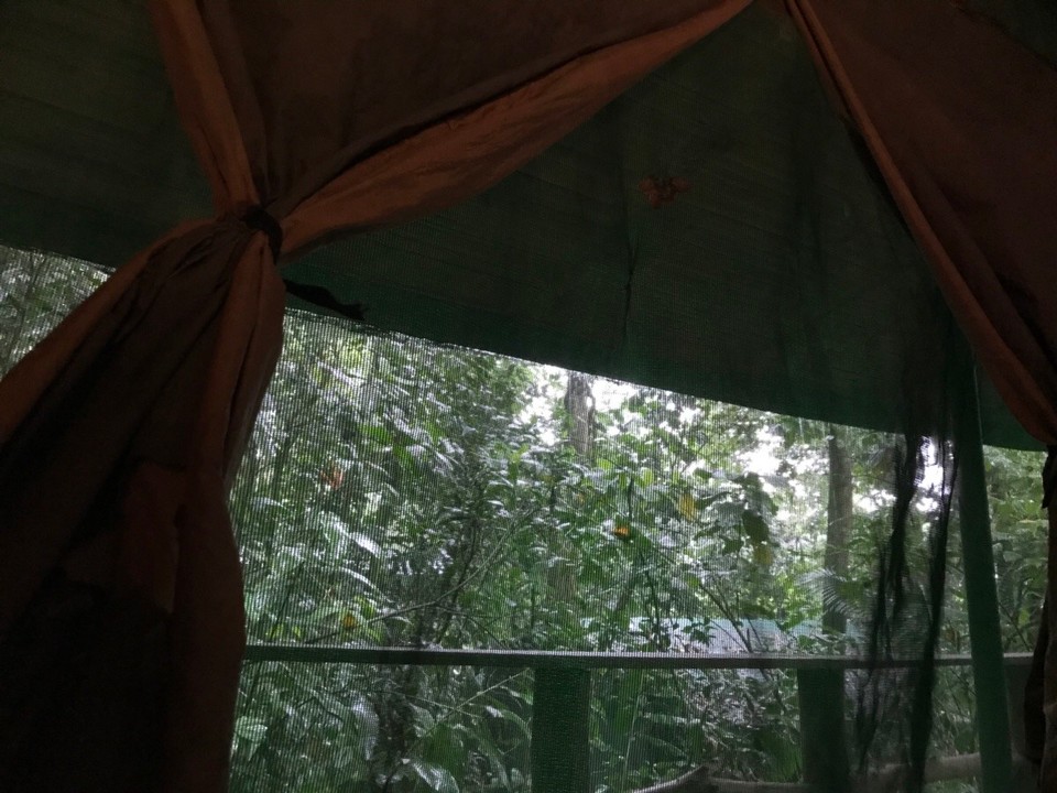 Costa Rica - Sarapiqui - 