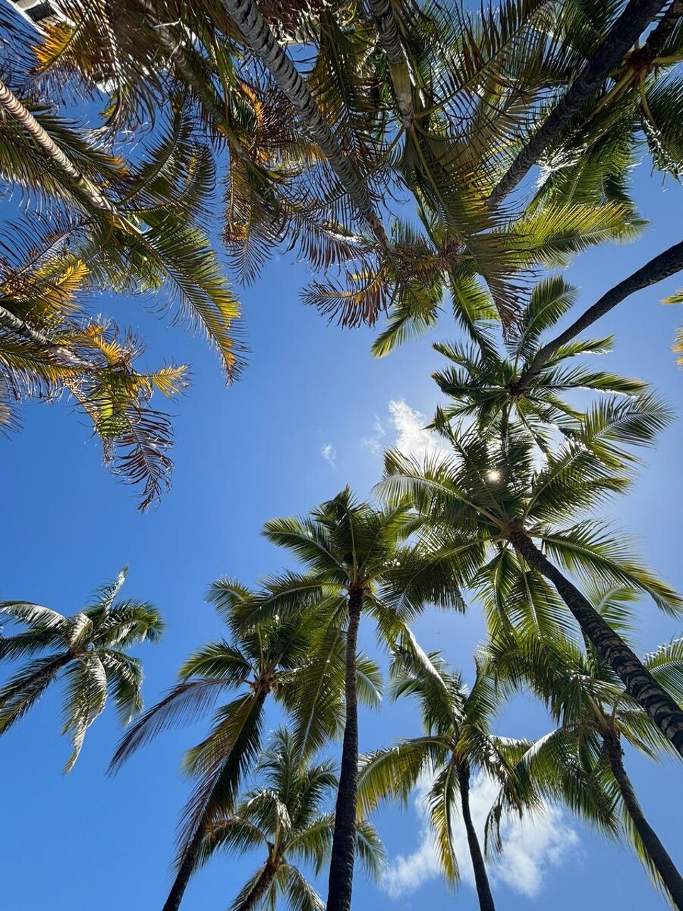 Vereinigte Staaten - Honolulu - 