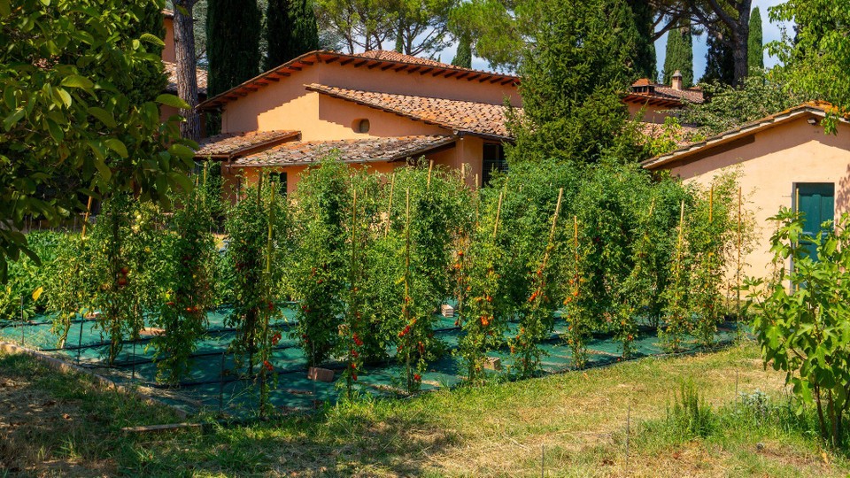 Italien - Lucca - 