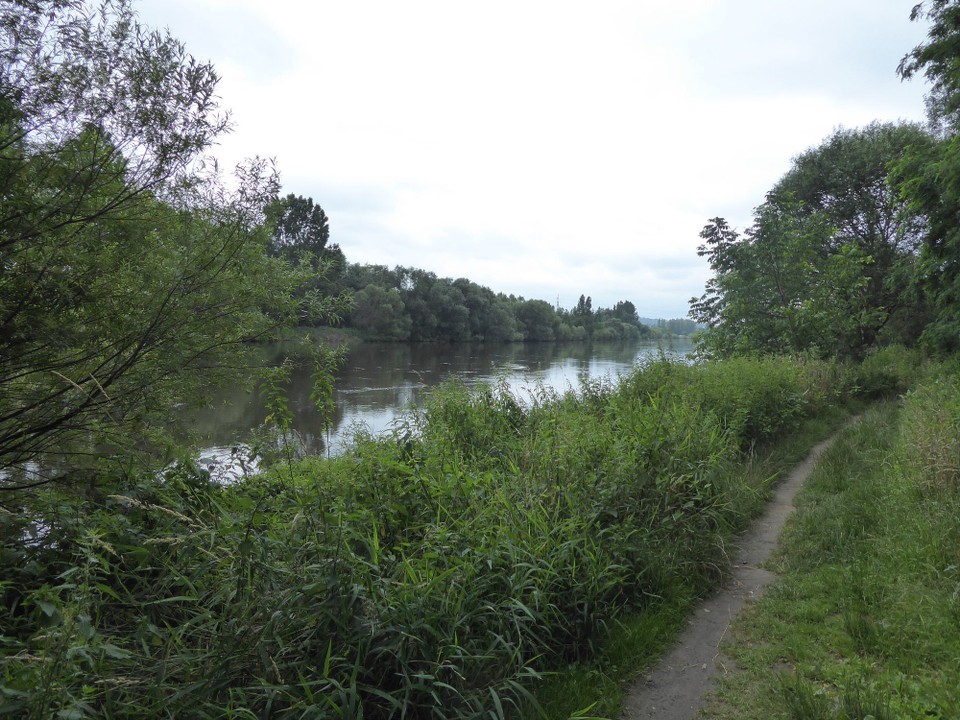 Tschechien - Prag - Und da Beharrlichkeit zum Ziel führt, habe ich kurz vorm Umdrehen doch noch ein sehr schönes Stück Moldau gefunden. Ca 15 km außerhalb der Stadt.