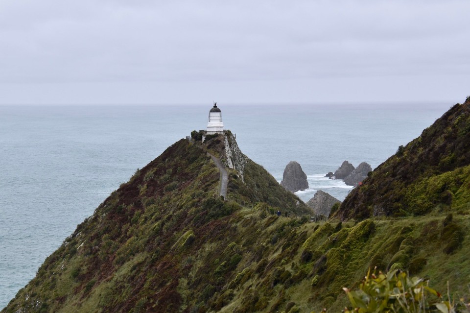 Neuseeland - Owaka - Weiter geht es zum Lighthouse und dem Nugget Point.