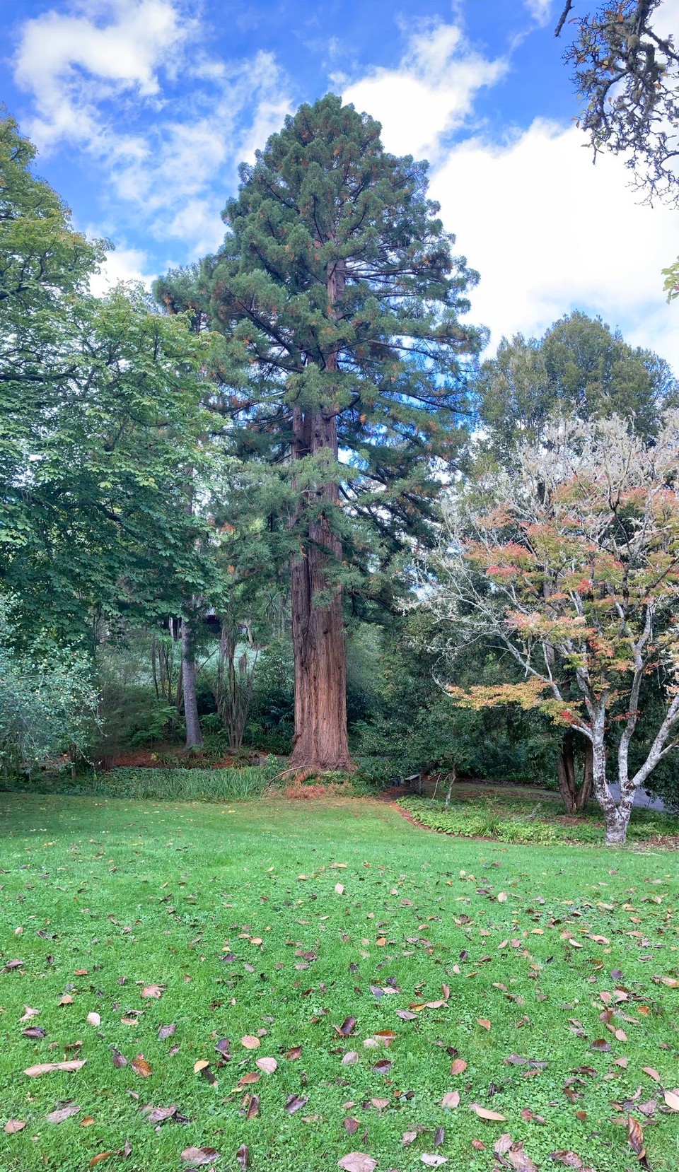 Neuseeland - Gisborne - 