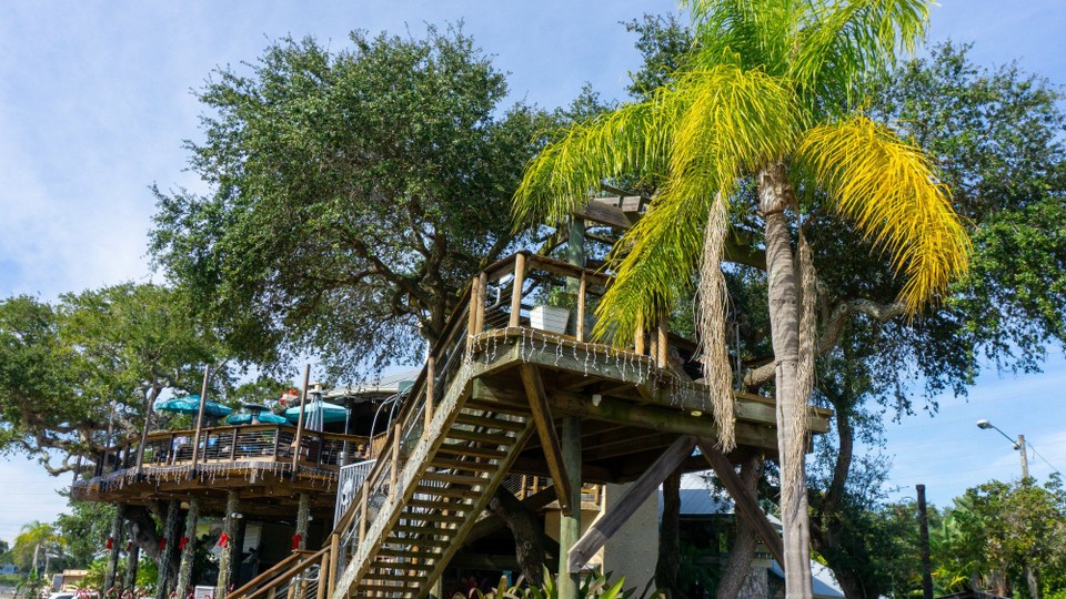 USA - New Smyrna Beach - Baumhausrestaurant in New Smyrna Beach