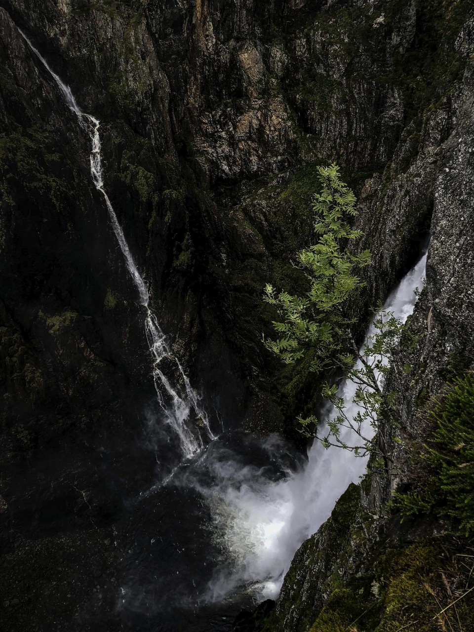 Norwegen - Skiftessjøen - 