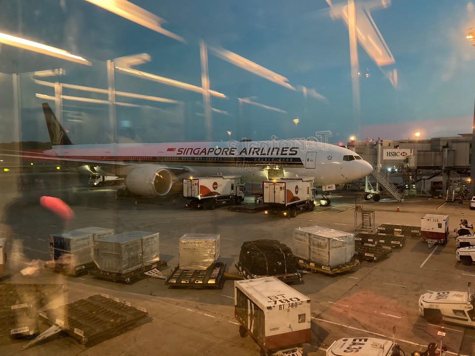 Singapur -  - Und nicht nur das, die Scoots Maschine war schon weg, sodass ich jetzt mit Singapore Airline weiterreisen darf 🤓😎