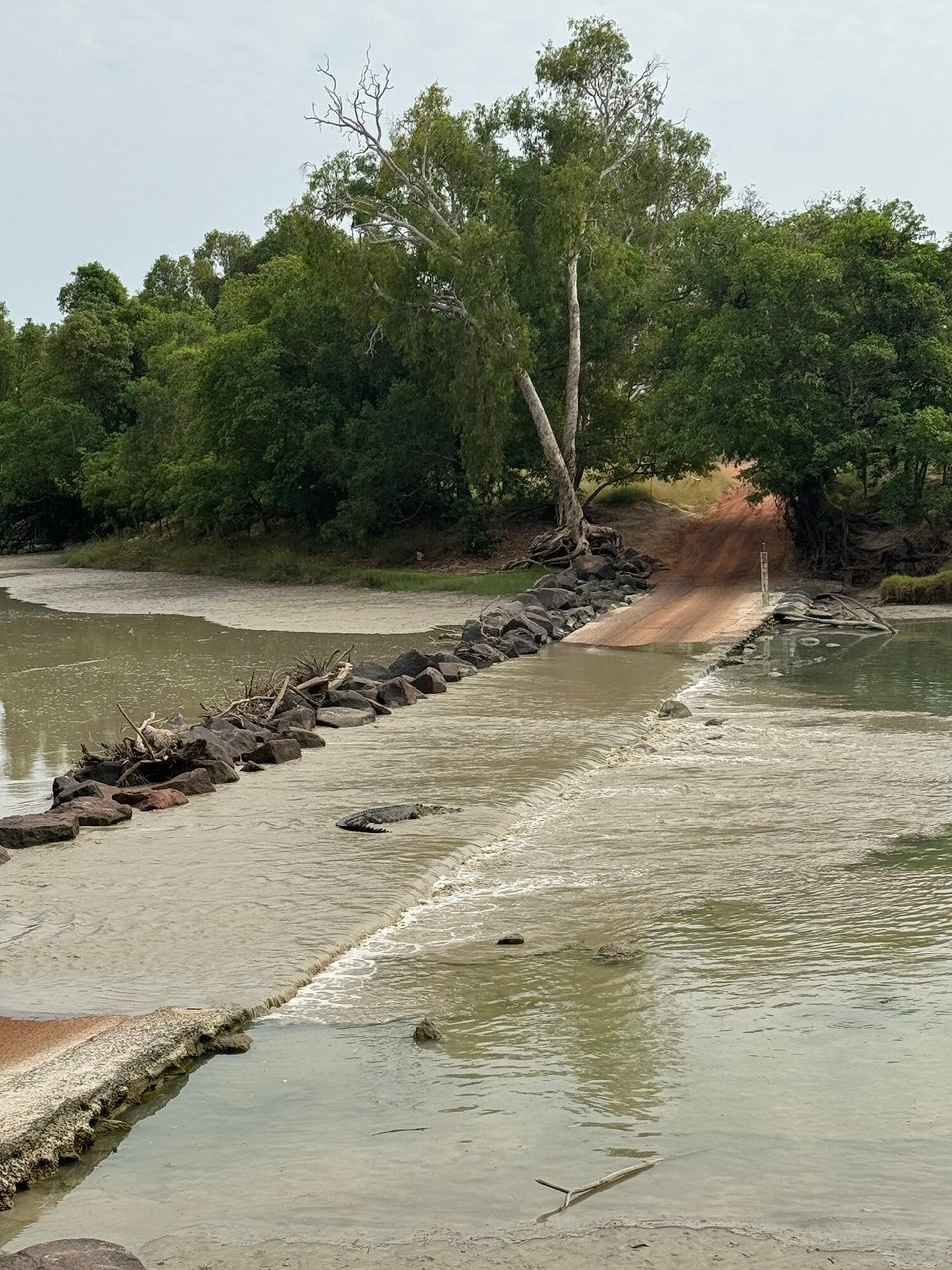 Australien - Kakadu - Würgt mengmol a biz unkontrolliert abr i chünts au nid besser😅