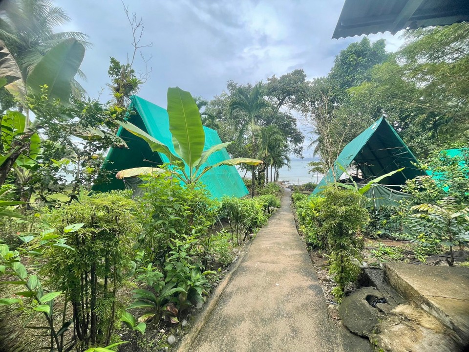 Costa Rica - Osa - Dann hieß es auch schon wieder Tschüss Corcovado 👋🏻 
