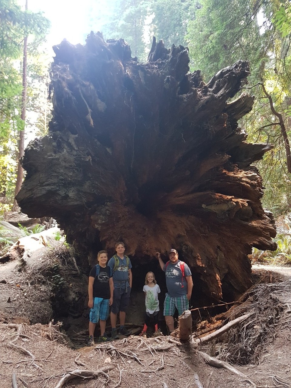 USA - Crescent City - 