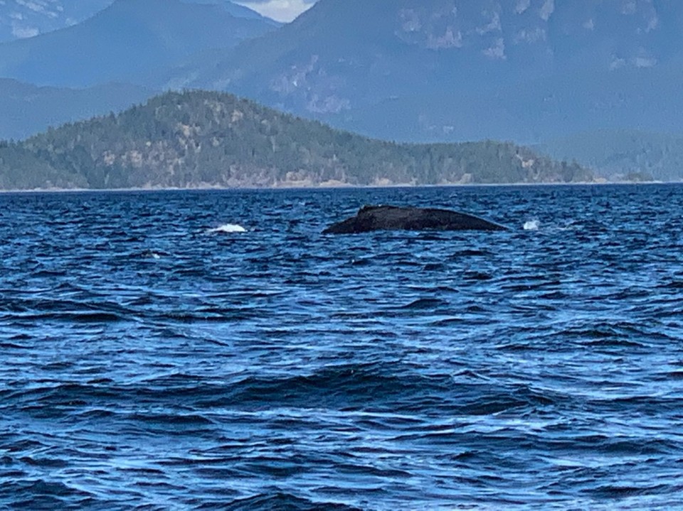 Kanada - Campbell River 11 - 