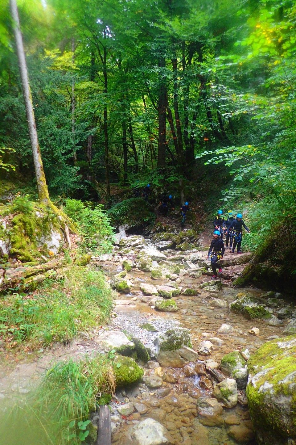 Frankreich - Annecy - Es ging immer ein paar Meter durch den Wald und dann das nächste Stück Canyon hinab