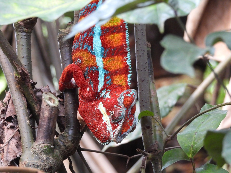 Schweiz - Zürich - ich zeige mich gerne von oben von unten, von links