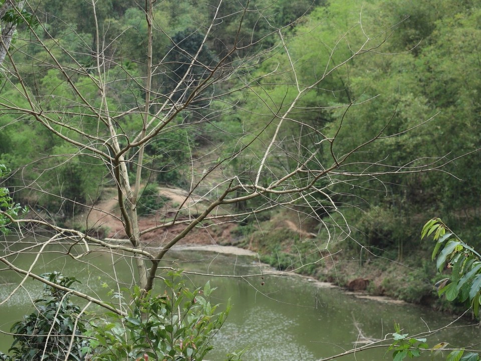 Vietnam - H. Mai Châu - 