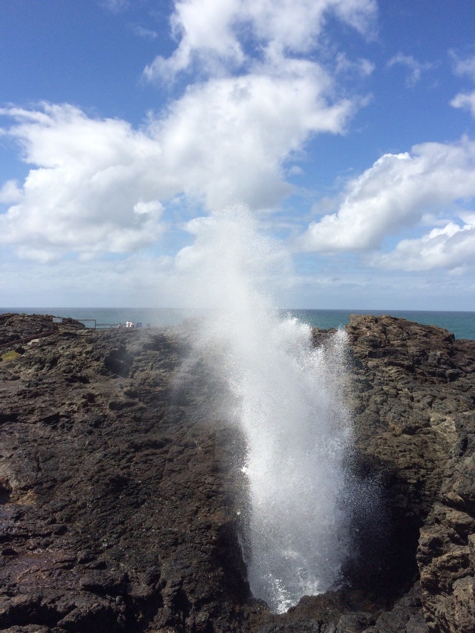 Australien -  - Kiama blowhole. 