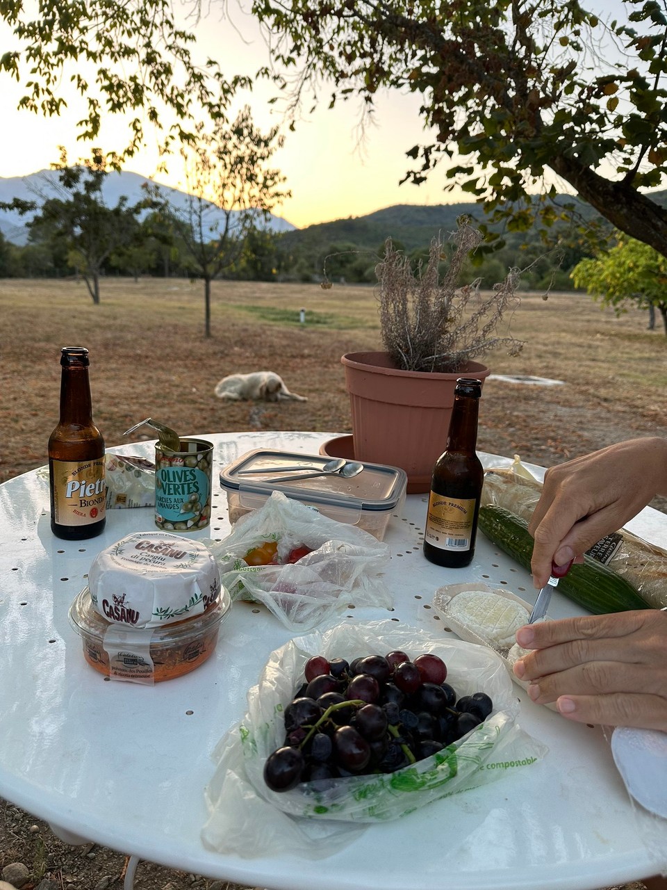 Frankreich - Altiani - 