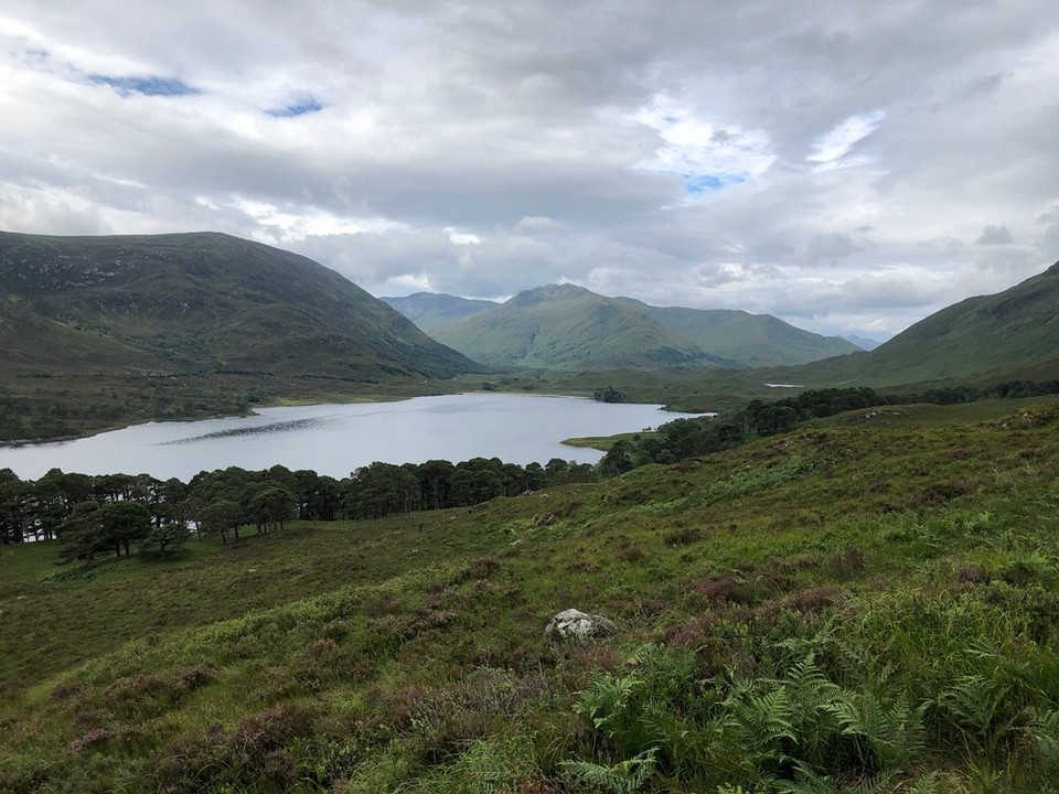 Vereinigtes Königreich - Beauly - ... Aussicht