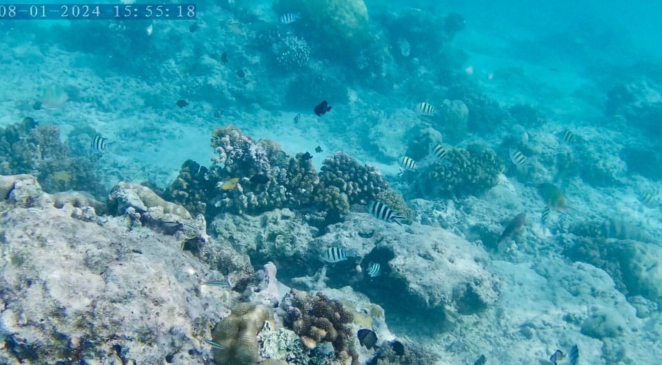 Indonesien - Kabupaten Lombok Utara - 
