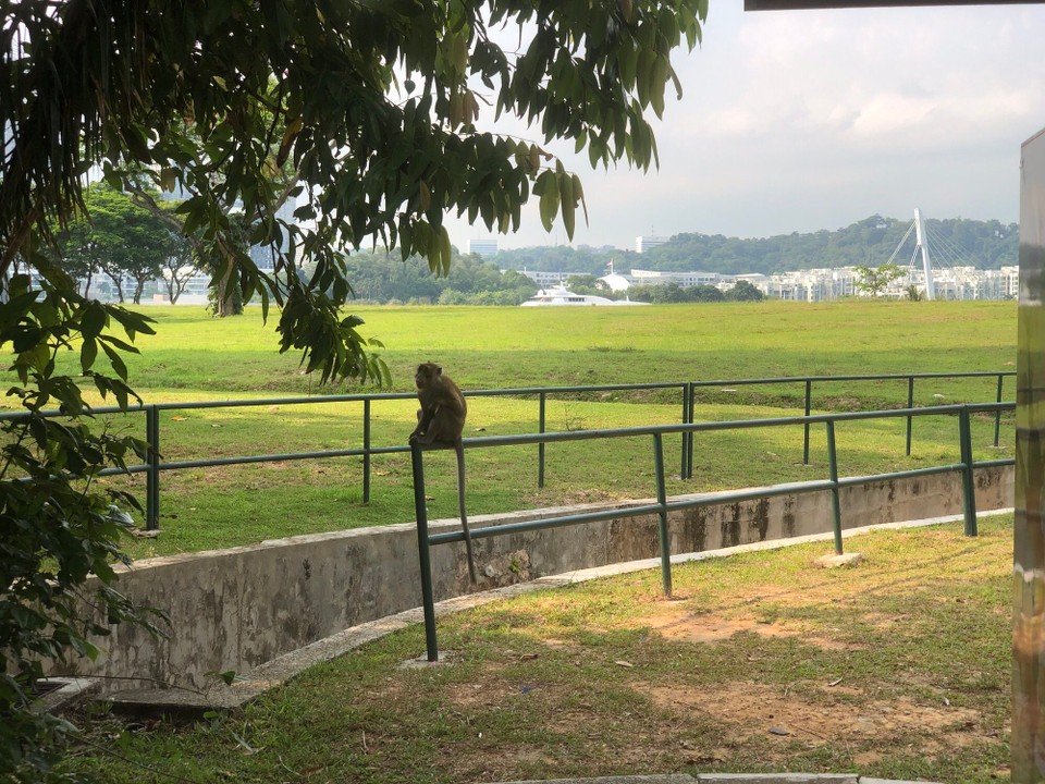 Singapur - Macpherson - 