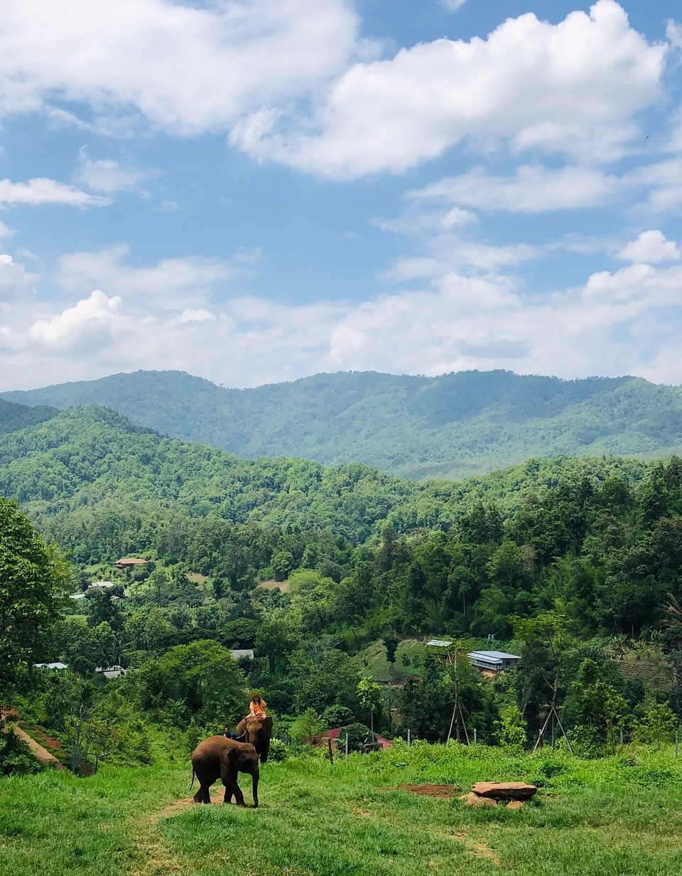 Thailand - Chiang Mai - 