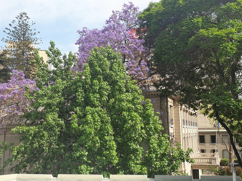 Chile - Santiago - The Argentinian embassy 