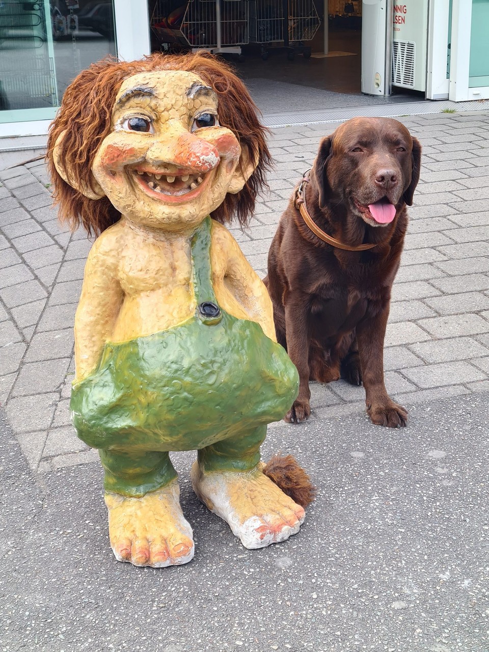 Norwegen - Flåm - Jaros neuer Trollfreund