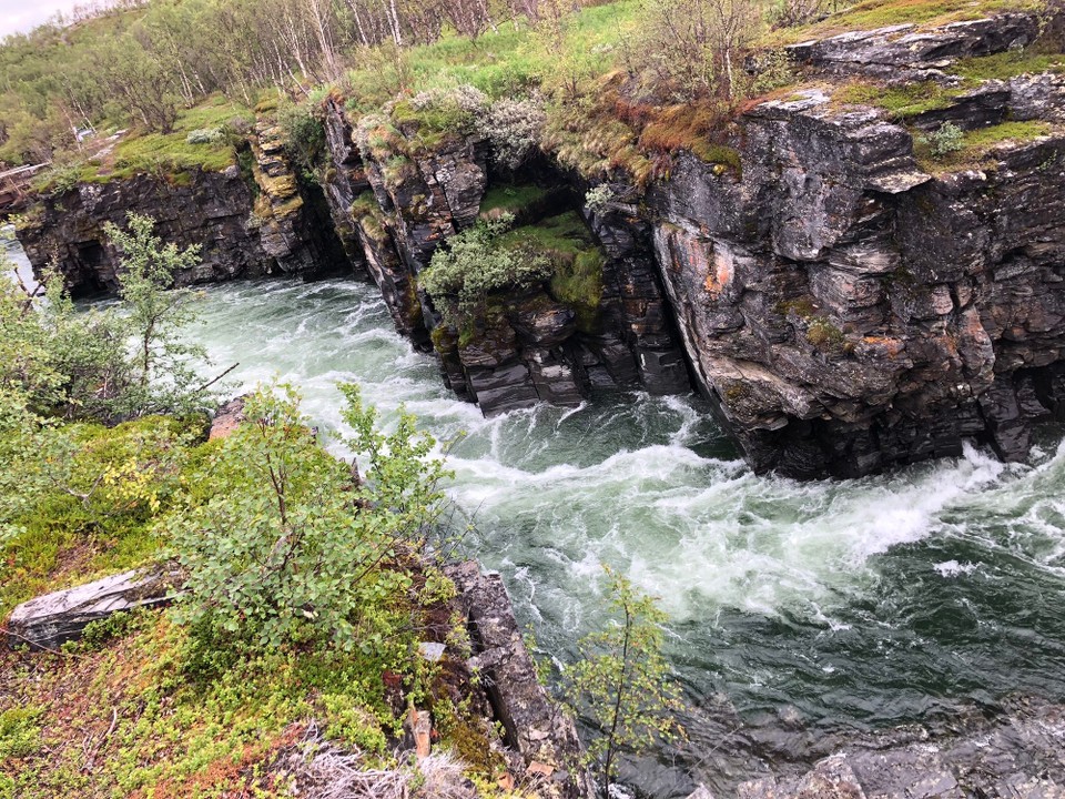 Schweden - Abisko - 