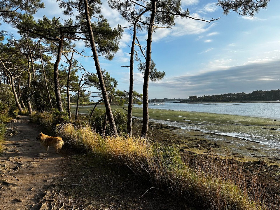 Frankreich - Larmor-Baden - 