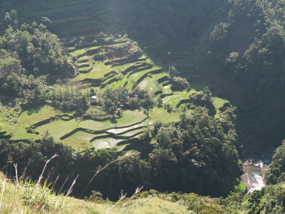 Philippines - Banaue - En chemin vers Bangaan, 2h30 de marche depuis Batad