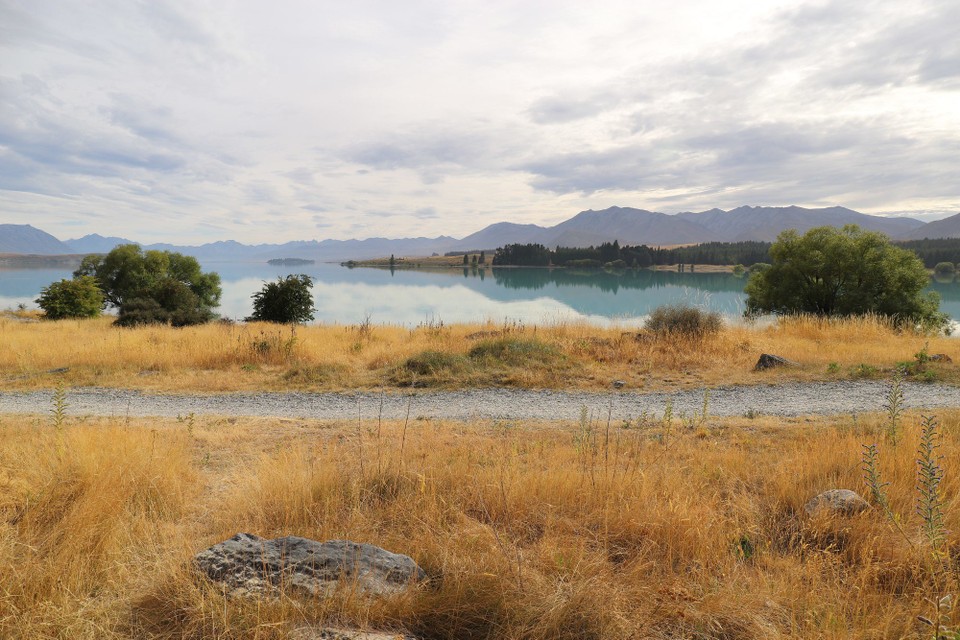 Neuseeland - Lake Tekapo - 