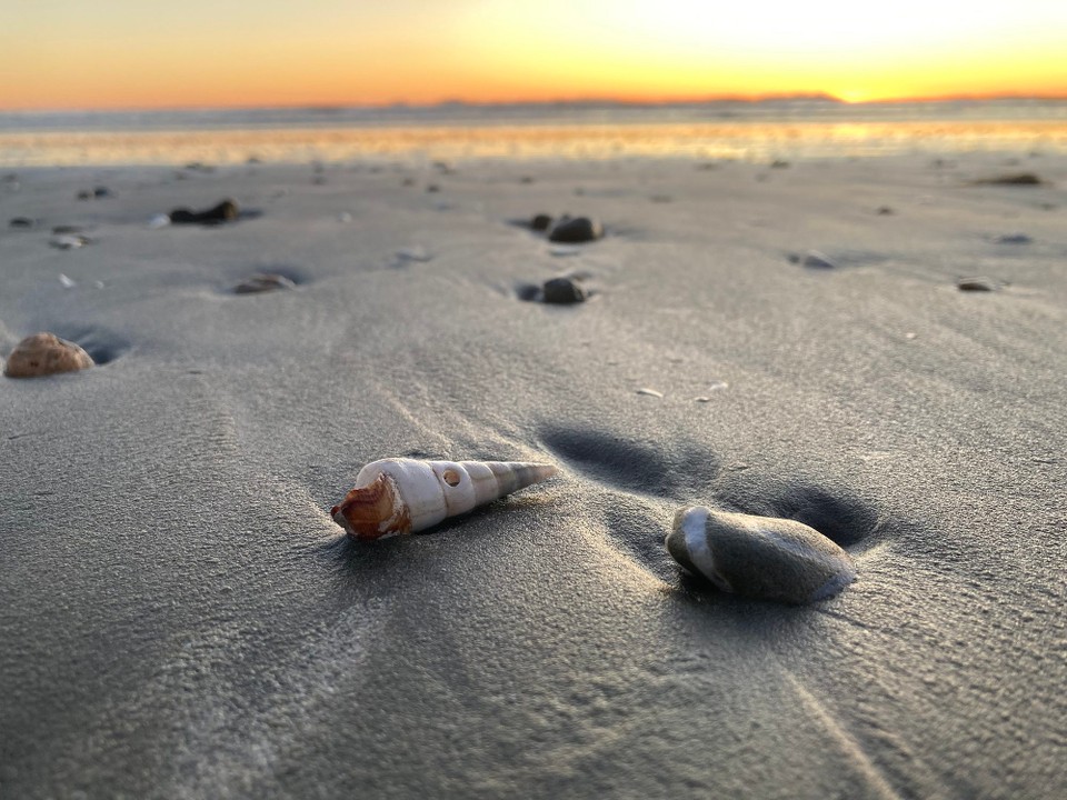 Neuseeland - Seddon - 