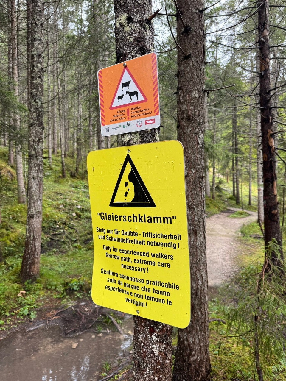 Österreich - Scharnitz - 