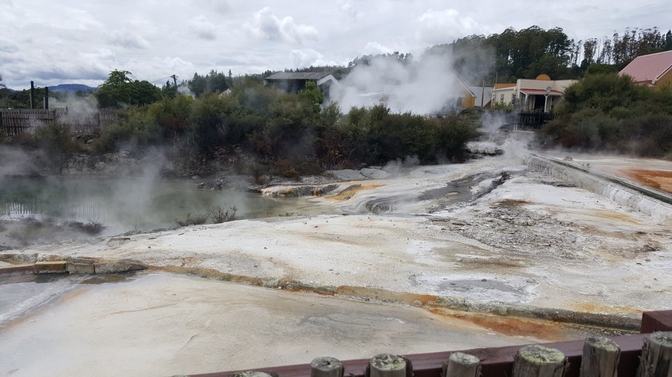 Neuseeland - Rotorua - Das Geothermale Tal von Whakarewarewa in Te Pui.