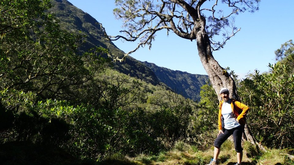 Réunion - Salazie - 