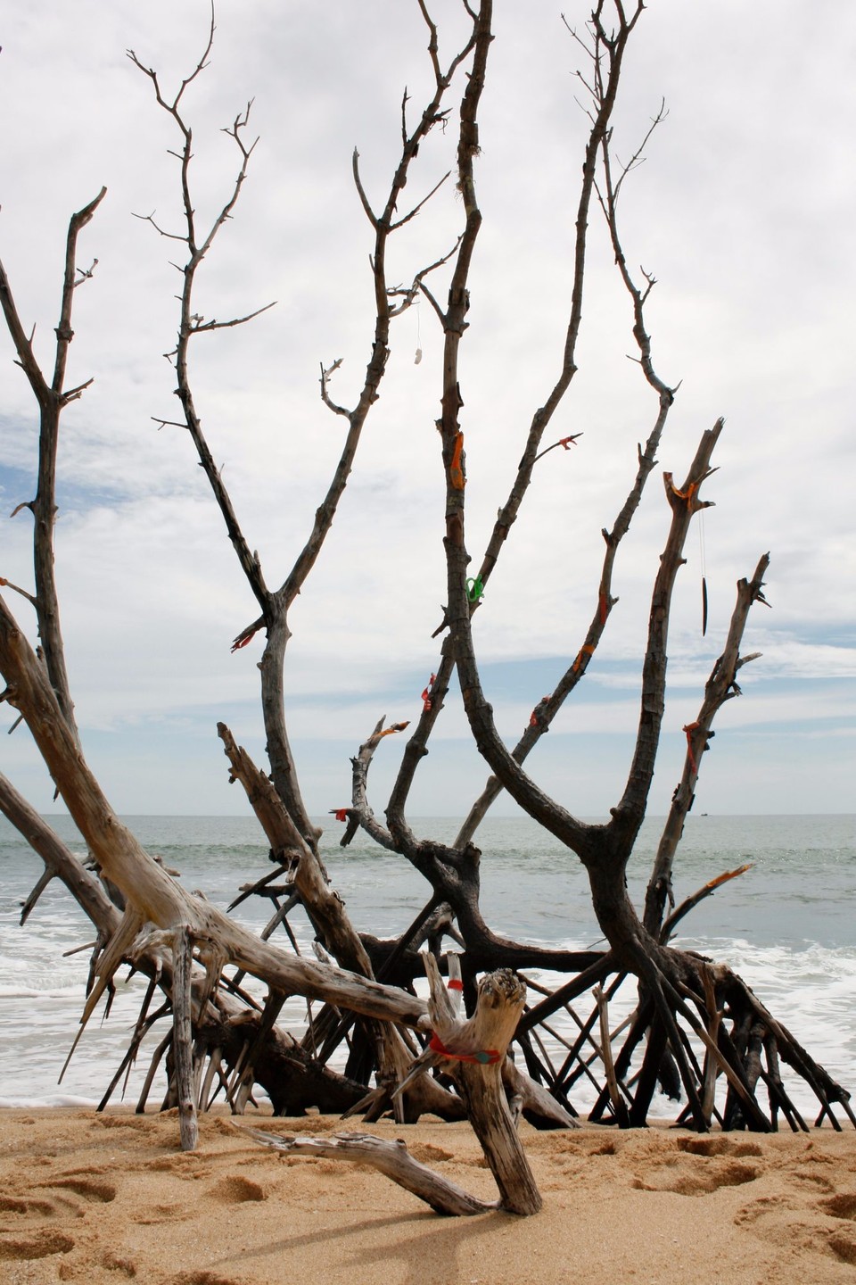 Sri Lanka - Tangalle - 