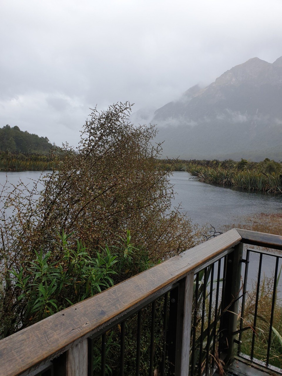 Neuseeland - Te Anau - 