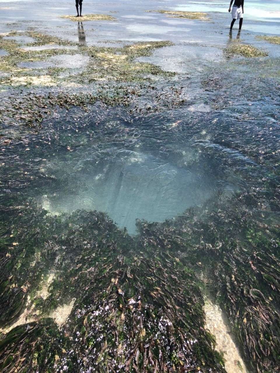Kenia - Diani Beach - Eine brodelnde Wasserquelle