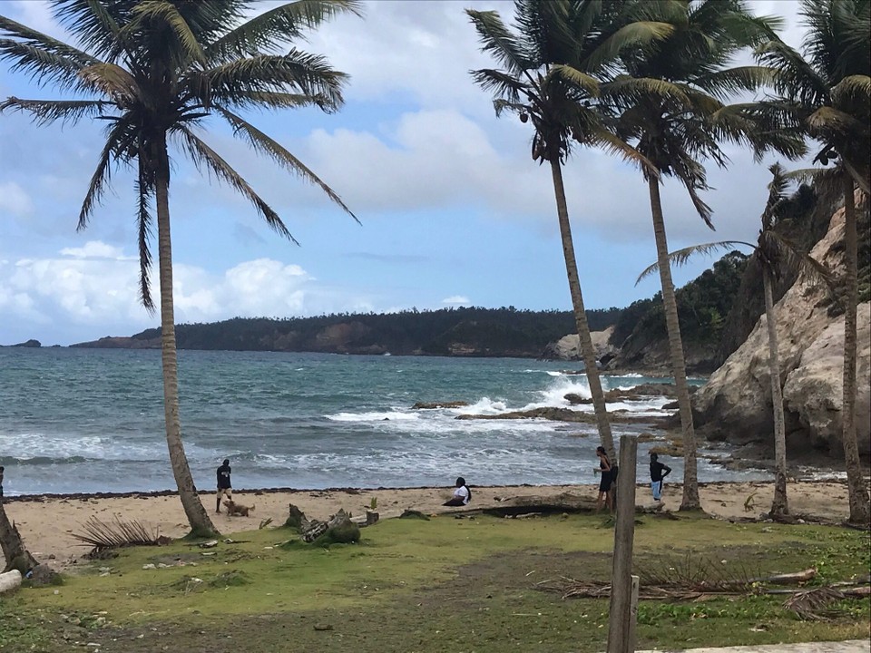 Dominica -  - 