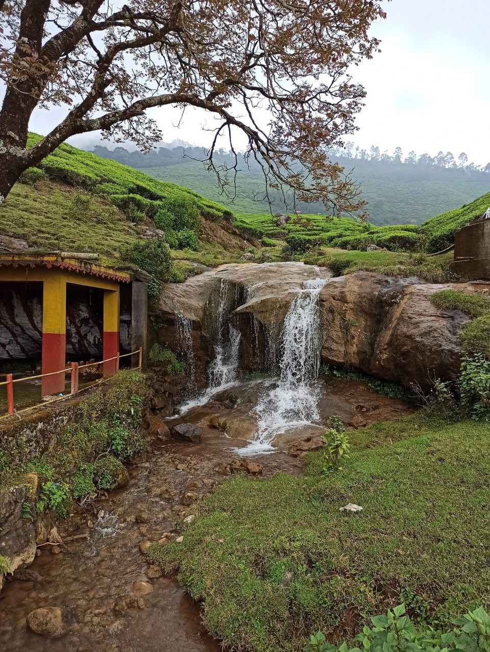 Indien - Suryanelli - 