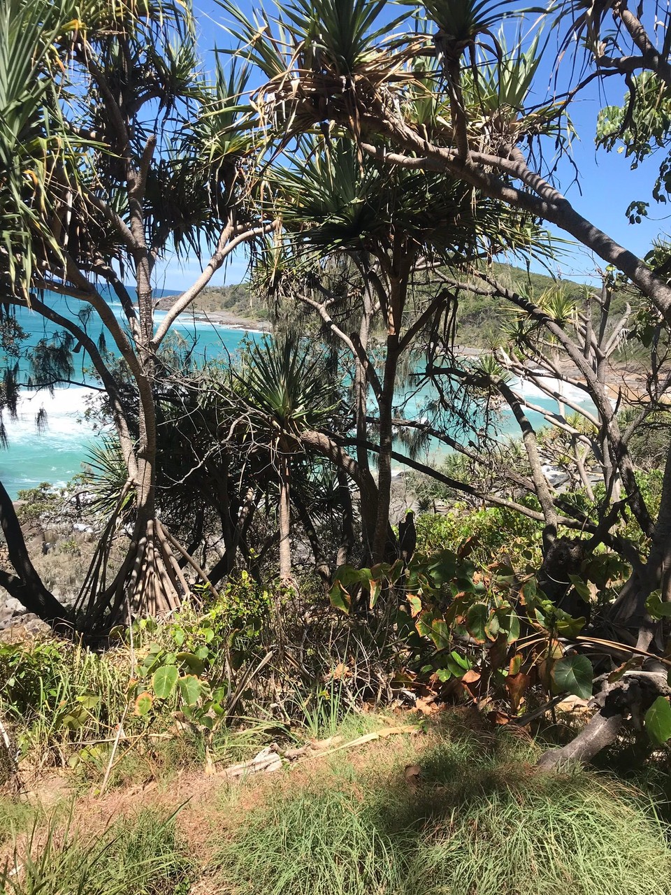 Australien - Noosa Heads - 