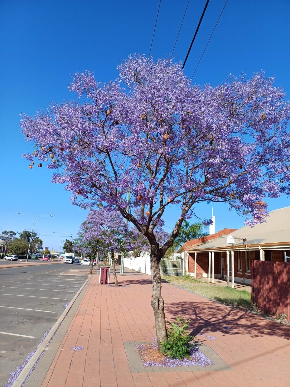 Australien - Kalgoorlie - 